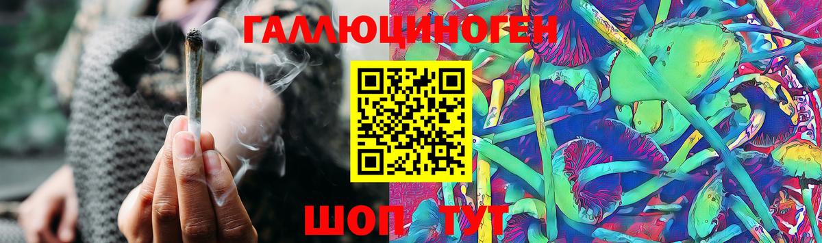 Псилоцибиновые грибы Psilocybe  Вход с VPN  Татарск 